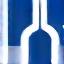 Icona LinkedIn